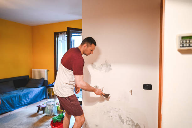 Certified Mold Removal in Viera East, FL