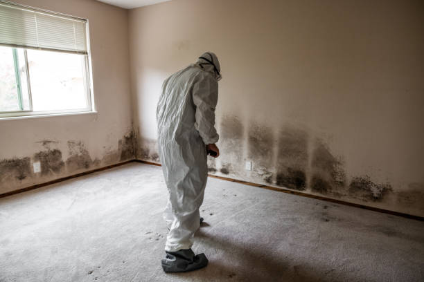 Best Crawl Space Mold Removal  in Viera East, FL